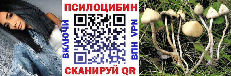 Галлюциногенные грибы Psilocybine cubensis  Зима 