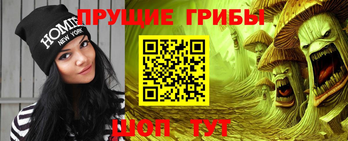 Псилоцибиновые грибы Psilocybe  Вход с VPN  Зима 
